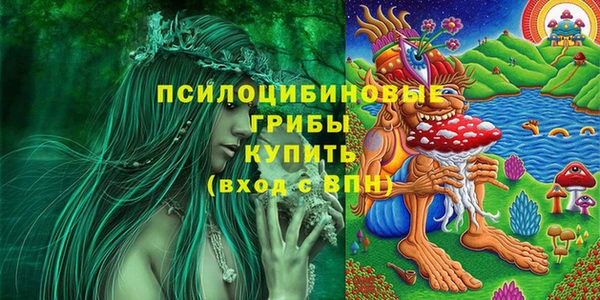 mdpv Алексин