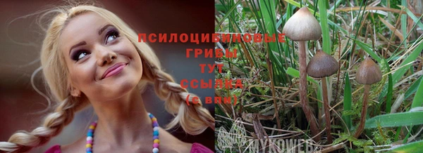 мет Алзамай