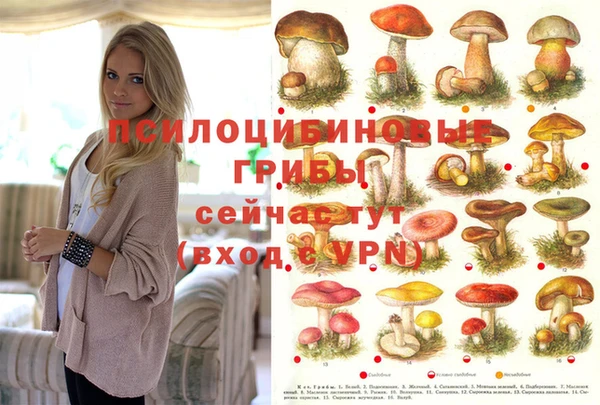 мет Алзамай