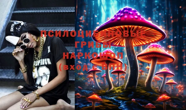 a pvp Алексеевка