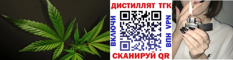 ТГК Wax  сколько стоит  Островной 